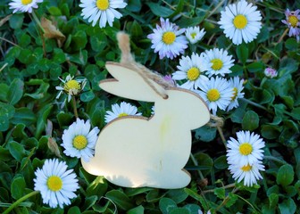 Easter wooden bunny and daisy iflower n th meadow