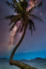 Wall Mural - landscape with milky way galaxy. night sky with stars and silhouette coconut palm tree on the mounta
