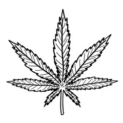 Wall Mural - Marijuana leaf drawing
