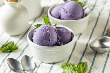 Homemade Purple Japanese Ube Ice Cream