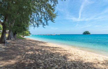 Wall Mural - Beach with green tree and blue skies