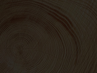  black wood rings, cut wood as background