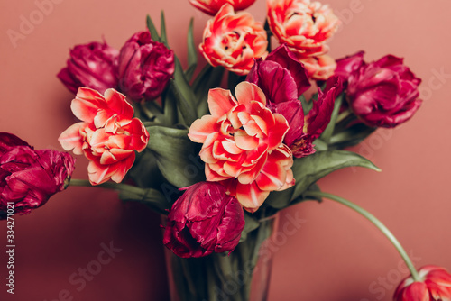 Beautiful Bunch of Peony and Parrot Style Tulips in the Vase on the dusty pink background, spring holiday concept, copy space