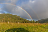 Fototapeta Tęcza - colored rainbow over the mountain with green pines.