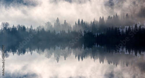 Abstract image with foggy forest that looks like sound-waves.