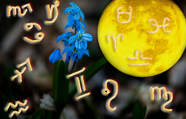 spring snowdrop, astrological symbols and full moon.