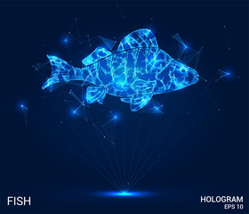 Wall Mural - Hologram fish. Fish from polygons, triangles of points and lines. Fish is a low-poly compound structure. The technology concept.