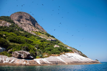 Sticker - Coast of the Alcatrazes Archiplelago - Conservation Unit - North Coast of the State of São Paulo - Brazil