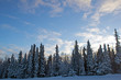 Snowy scene in Alaska
