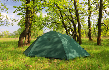 Wall Mural - tourist tent in green forest