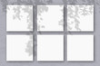 © Natika_art - 6 square sheets of white textured paper against a gray wall. Mockup overlay with the plant shadows. Natural light casts shadows from the tree's foliage. Flat lay, top view