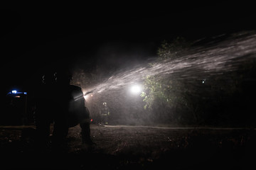 Wall Mural - Professional firefighters puttion out a fire with water.