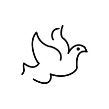 Dove Peace Christmas Card Free Stock Photo - Public Domain Pictures