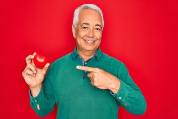 Canvas Print - Middle age senior grey-haired man holding romantic red heart object over isolated red background very happy pointing with hand and finger