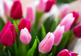 Fototapeta Tulipany - Beautiful tulips bouquet