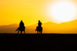 © Hakan Eliaçık - Images of wild horses at sunset. (Yılkı Atları). Hürmetçi, Kayseri, Turkey.