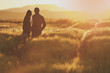 © kovop58 - Man and woman in love standing in rye field during colorful summer sunrise - vintage photo with copy space