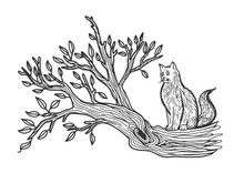 Cat Sits On A Tree Sketch Engraving Vector Illustration. T-shirt Apparel Print Design. Scratch Board Imitation. Black And White Hand Drawn Image.