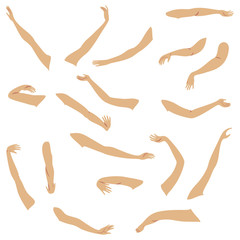 women s hands. beautiful graceful silhouettes. collection. vector illustration of a set.