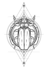 Wall Mural - Black and white beetle over sacred geometry, isolated vector illustration. Tattoo sketch. Mystical symbols and insects. Alchemy, religion, occultism, spirituality, coloring book. Hand-drawn vintage.