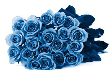 Fotomurales - trend color of the year 2020 classic blue. beautiful roses bouquet isolated