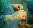 Closeup of a surgeon's hands in bloody gloves during surgery.