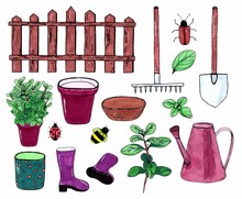 Set Of Garden Tools, Decoration Elements, Green Sprouts And Insects. Stock Hand Drawing Illustration By Markers. Isolated On White Background. Template For Design.