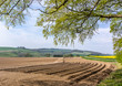 Newly ploughed field