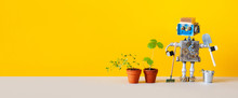 A Mechanical Robot Agronomist Gardener Has Grown Agricultural Plants In Flower Pots And Poses With A Shovel And A Rake. Copy Space On Yellow And Gray Background