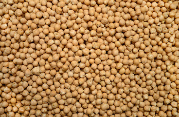 Wall Mural - chickpeas beans background