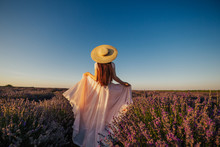 Attractive Girl With Long Hair In Pale Rose Long Dress Dreaming. Beautiful Young Woman Walking The Field Of Lavender In Provence. Fashion Outfit, Straw Hat. Back View. Violet In Nature. Copy Space.
