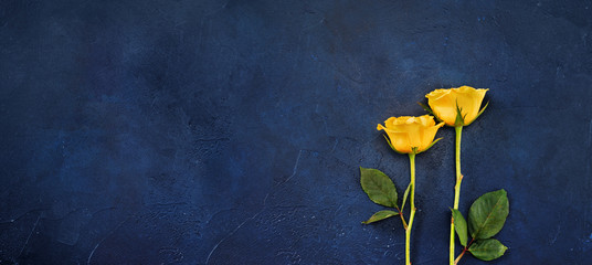 Long banner with two yellow roses on classic blue background