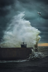  Grande onda che si infrange sul molo di Marina di Pisa