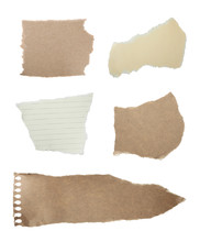 Set Of Different Ripped Notebook Papers On White Background