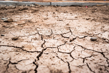 dry cracked earth