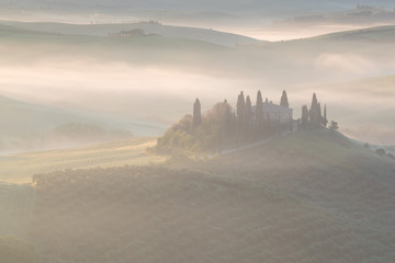 Poster - Beautiful colors of green spring panorama landscape of Tuscany. Most popular place in Italy. Green fields and blue sky and Cypress tree scenic road near Siena. Amazing foggy morning with sunshine