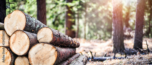 Photographie Log trunks pile, the logging timber forest wood industry