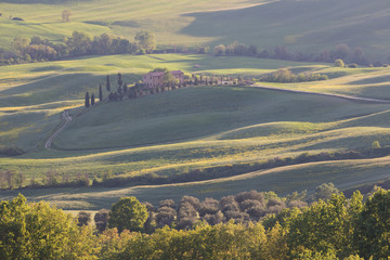 Poster - Beautiful colors of green spring panorama landscape of Tuscany. Most popular place in Italy. Green fields and blue sky and Cypress tree scenic road near Siena. Travel holiday background concept