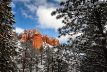 Winter Snow In Bryce Canyon National Park 1