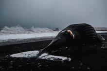 Martwy Wieloryb Na Czarnej Plarzy