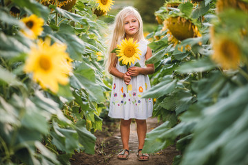 little girl in a field of sunflowers 