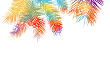 The Background Is Multicolored Palm Leaves. Hello Summer. Vector