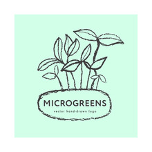 Microgreens Cultivation Label Tag. Vector Hand-drawn Growth Logo. Vegetable Greens, Baby Greens, Soil Line, Seeding, Baby Plants, Home Cultivation, Greenhouse, Farmers Market, Sprouting Plants —  Eco.