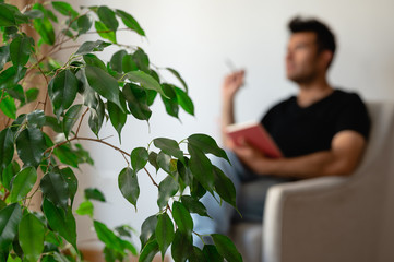 green plant in a therapy office