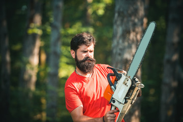 Wall Mural - Man doing mans job. Logging. Lumberjack concept. Woodworkers lumberjack. Illegal logging continues today. Lumberjack holding the chainsaw. Woodcutter with chainsaw on sawmill.