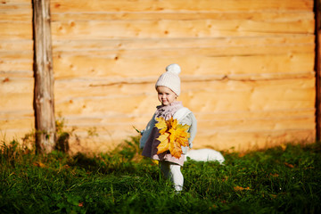 cute little girl in autumn leaves