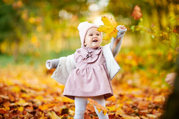 cute little girl in autumn leaves