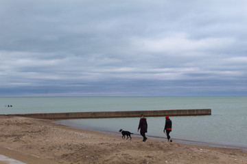 Two women walking a dog on the beach with a greenish Lake Michigan at Loyola Park in Chicago