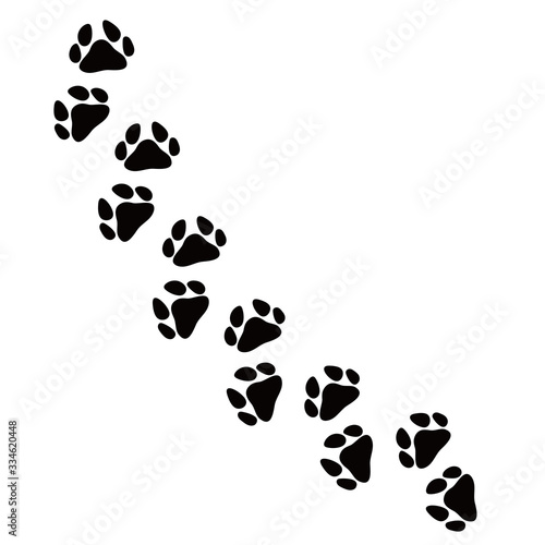 動物 犬猫 足跡 複数 Buy This Stock Vector And Explore Similar Vectors At Adobe Stock Adobe Stock 動物 犬猫 足跡 複数 Buy This Stock Vector And Explore Similar Vectors At Adobe Stock Adobe Stock