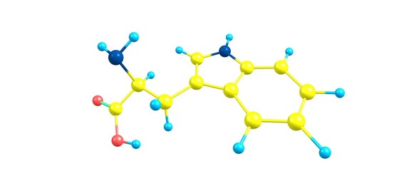 Poster - Tryptophan molecular structure isolated on white